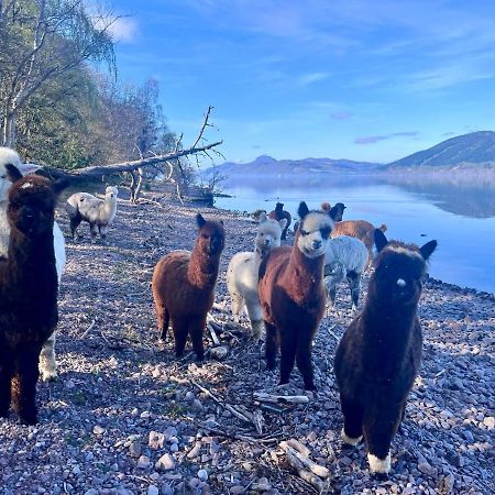 Balachladaich Loch Ness B&B Dores Bagian luar foto