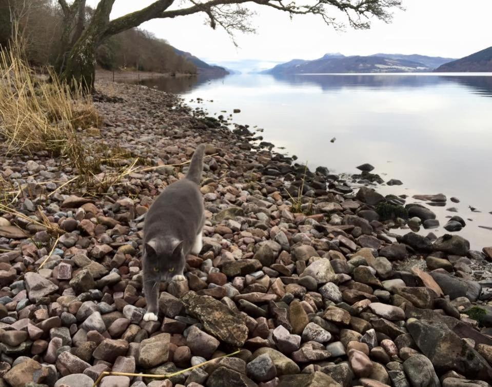 Balachladaich Loch Ness B&B Dores Bagian luar foto