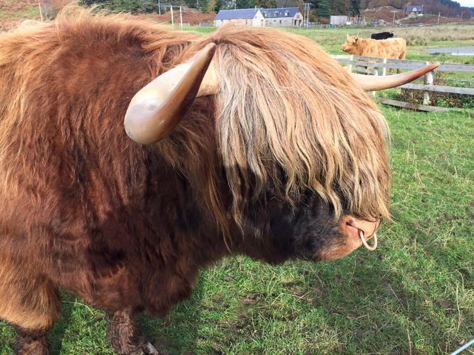 Balachladaich Loch Ness B&B Dores Bagian luar foto