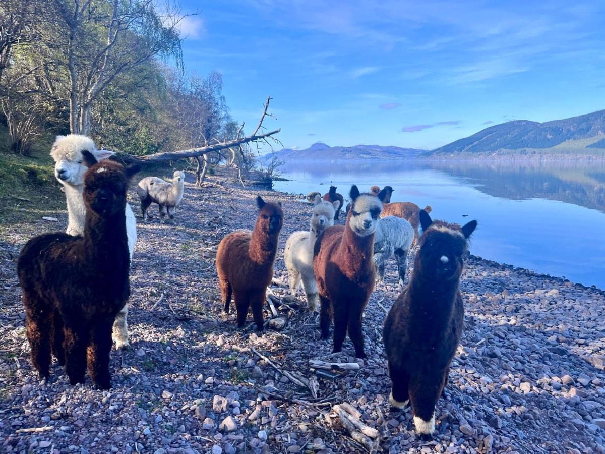 Balachladaich Loch Ness B&B Dores Bagian luar foto