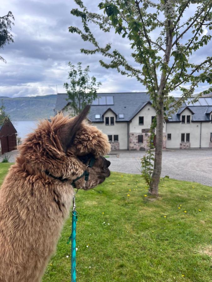 Balachladaich Loch Ness B&B Dores Bagian luar foto